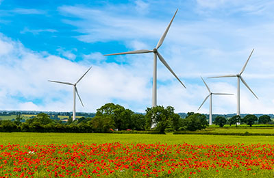 A view across poppies in a field towards wind turbines in the di