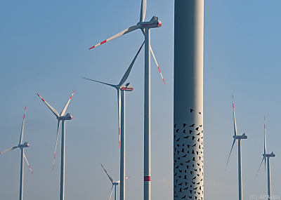 Windenergie derzeit nur mit Schwachwind
 - Jacobsdorf, APA/dpa