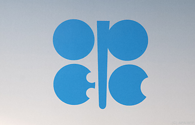 OPEC-Mitglieder können sich nicht einigen
 - Vienna, APA/AFP