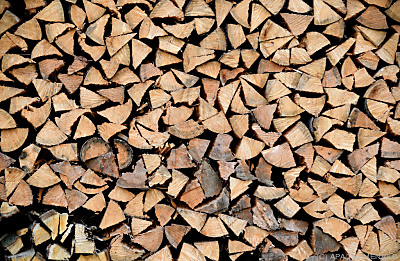 Holz steht im Mittelpunkt
 - Hürm, APA/THEMENBILD
