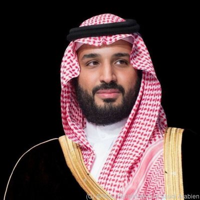 Prinz Mohammed bin Salman
 - Wien, APA/Außenministerium Saudi Arabien