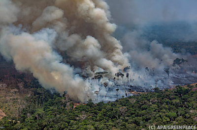 Der Weltklimarat legt seinen Synthese-Bericht zum Klimawandel vor - Candeias do Jamari, APA/GREENPEACE