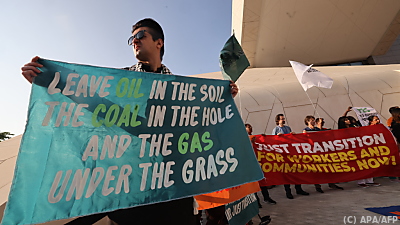 Die Proteste und Forderungen rund um den Gipfel sind verständlich
 - Dubai, APA/AFP
