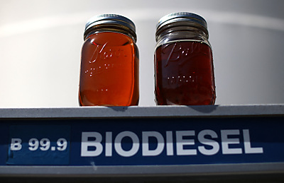 Stammt Biodiesel aus China aus umetikettiertem Palmöl?
 - San Francisco, APA/AFP/GETTY IMAGES