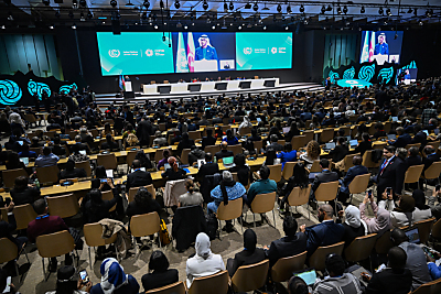 Die COP29 findet aktuell in Baku statt
 - Baku, APA/AFP