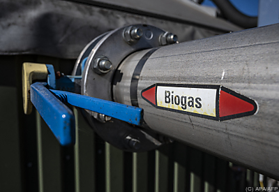 Biogas soll hohes Potenzial haben - Ribbeck, APA/AFP