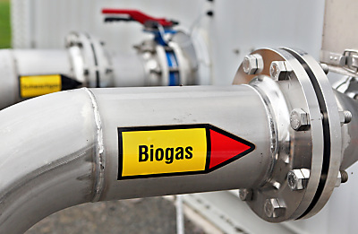 Biogas soll schrittweise fossiles Erdgas ersetzen
 - Brandis, APA/dpa-Zentralbild