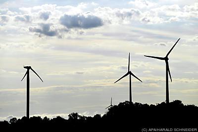 Gute Zeiten für Windkraft - Glinzendorf, APA/HARALD SCHNEIDER