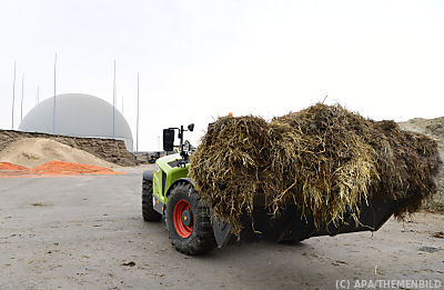 Biogas soll Erdgas schrittweise ersetzen
 - Enzersdorf an der Fischa, APA/THEMENBILD