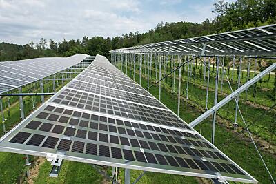 Photovoltaik als Hoffnungsträger
– Graz, APA/VERSUCHSSTATION HAIDEGG Photovoltaik als Hoffnungsträger
- Graz, APA/VERSUCHSSTATION HAIDEGG