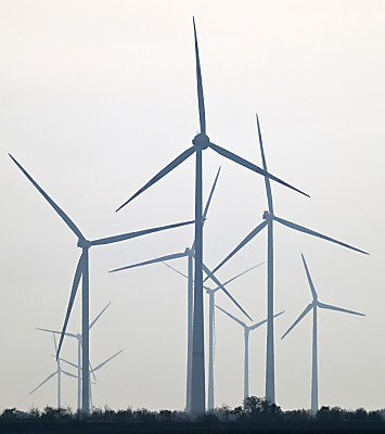 31 Windräder stehen derzeit nur in Oberösterreich
 - Weiden am See, APA/THEMENBILD