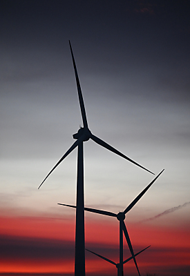 Gegenwind für Großprojekt
 - Neudorf, APA/THEMENBILD