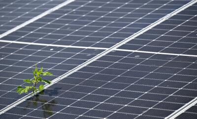 Wirtschaftsministerium stockte PV-Fördertopf kräftig auf
 - Gänserndorf, APA (Archiv)