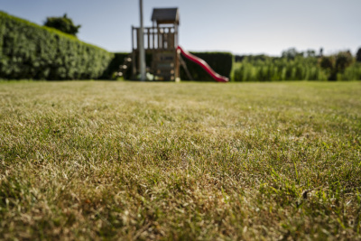 Analyse von über 10 Analyse von über 10