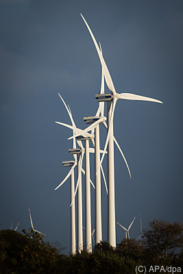 Ein Windpark in Schleswig-Holstein
 - Süderlügum, APA/dpa