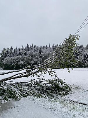 In der Südweststeiermark kam es durch Schneefällen zu etlichen Stromausfällen
 - Leibnitz, APA/ENERGIE STEIERMARK