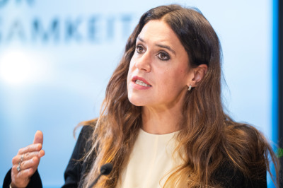 EcoAustria gegen Preisobergrenze für Strom in Krisen
 - Wien, APA/GEORG HOCHMUTH